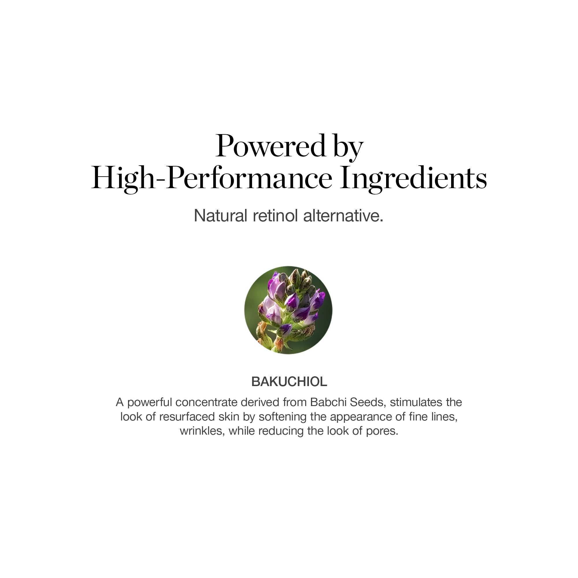 Retinol Alternative Bakuchiol 2% Elixir - Image 5