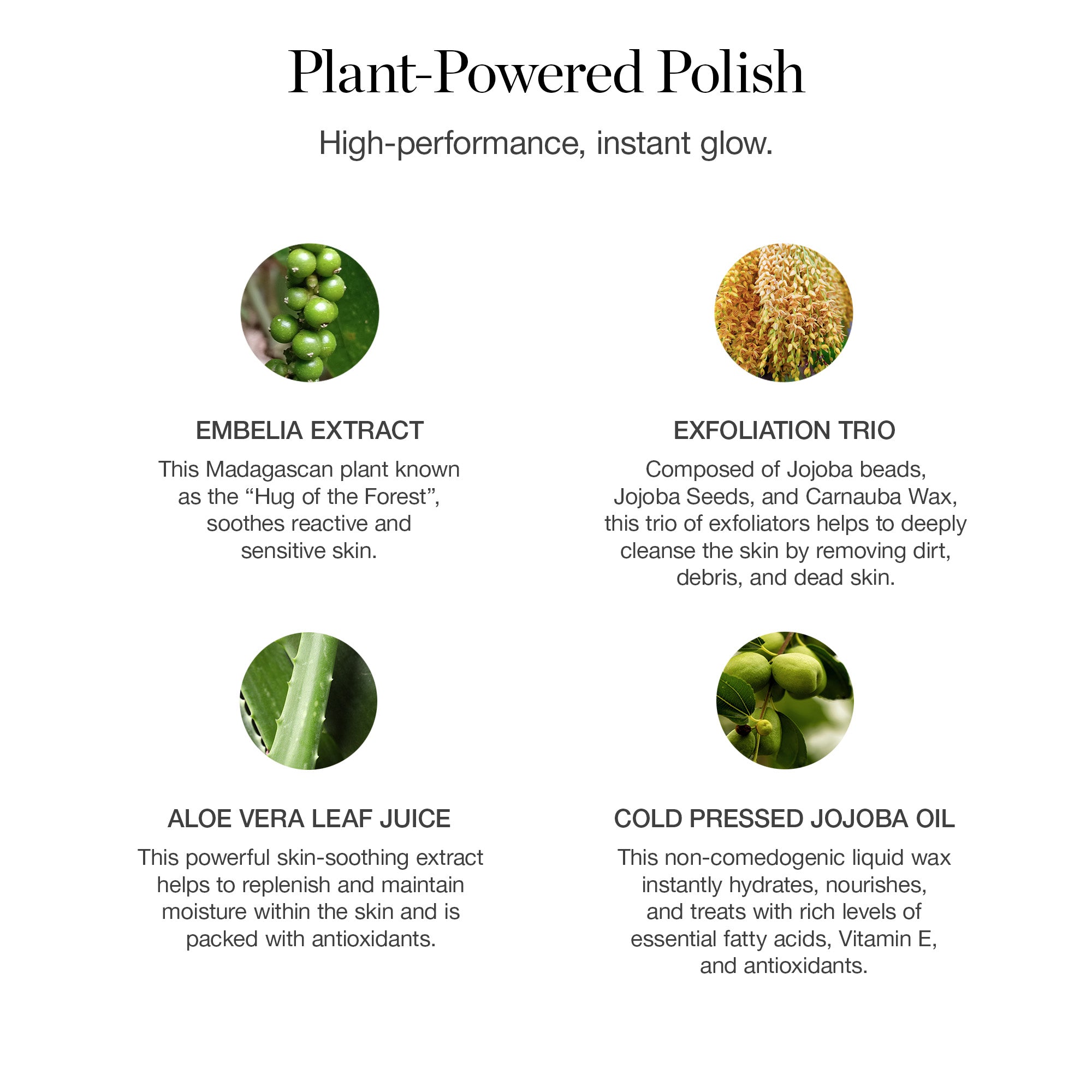 Botanical Brilliance Exfoliating Cleanser - Image 5