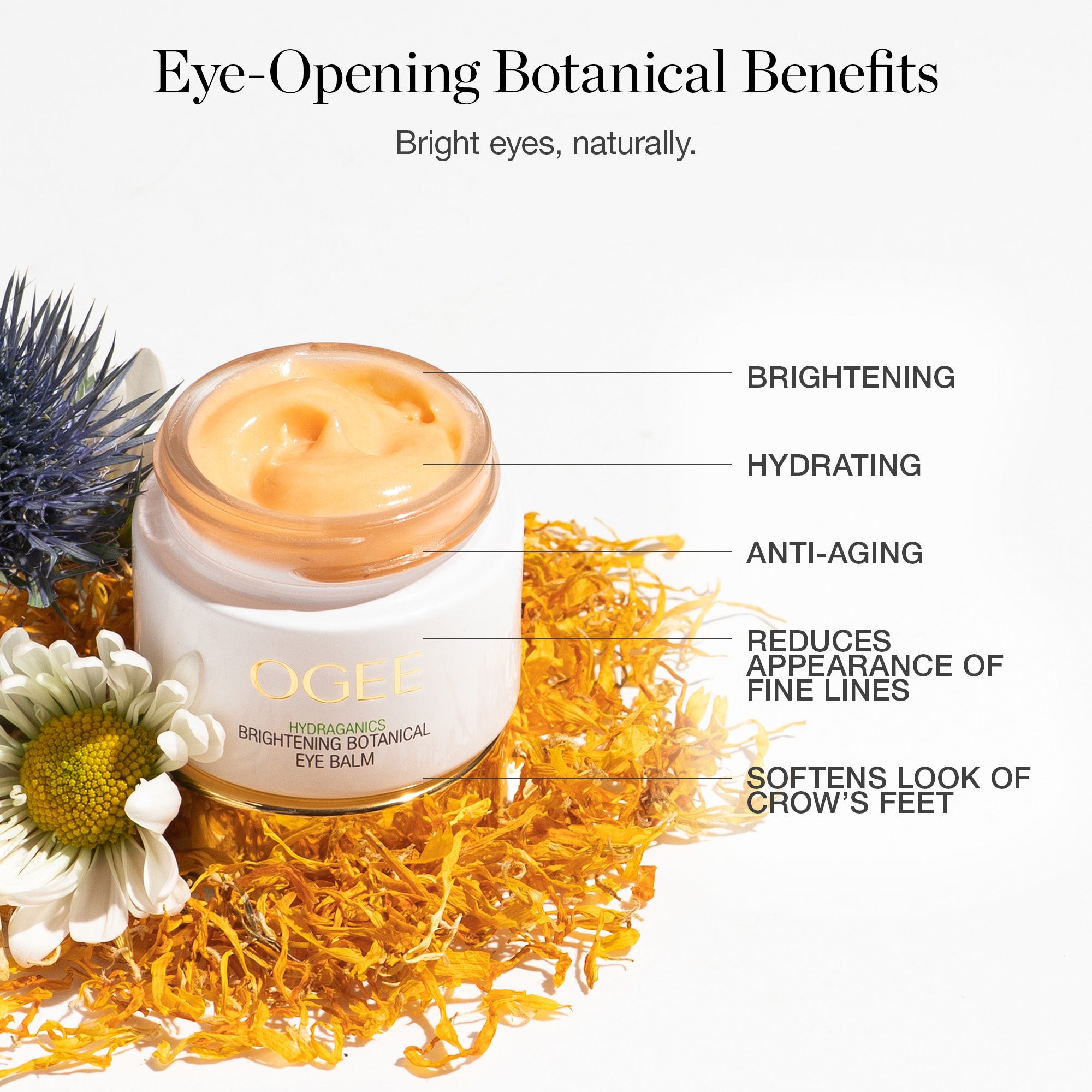 Brightening Botanical Eye Balm - Image 4