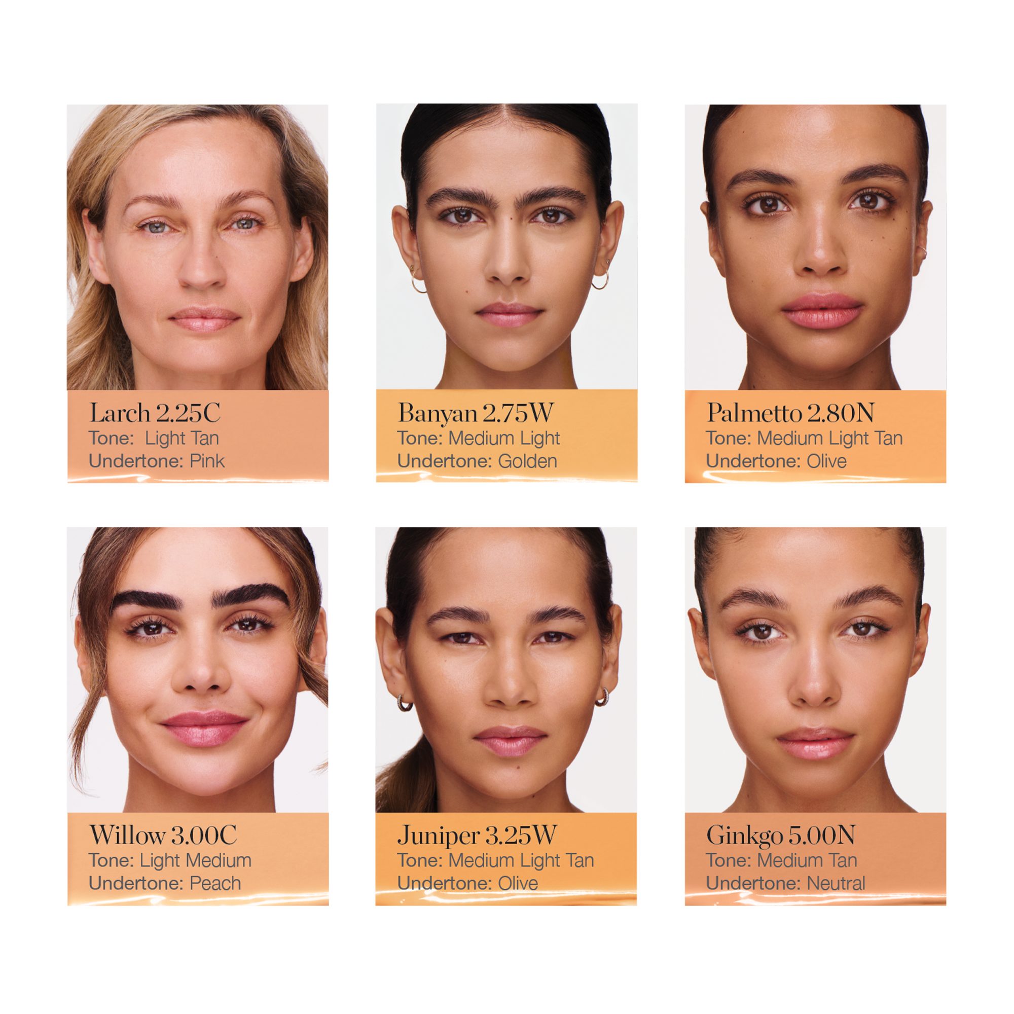Complexion Perfecting Serum Foundation - Image 107